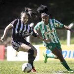 51337479-23e5-454d-ad44-ffd61909765d